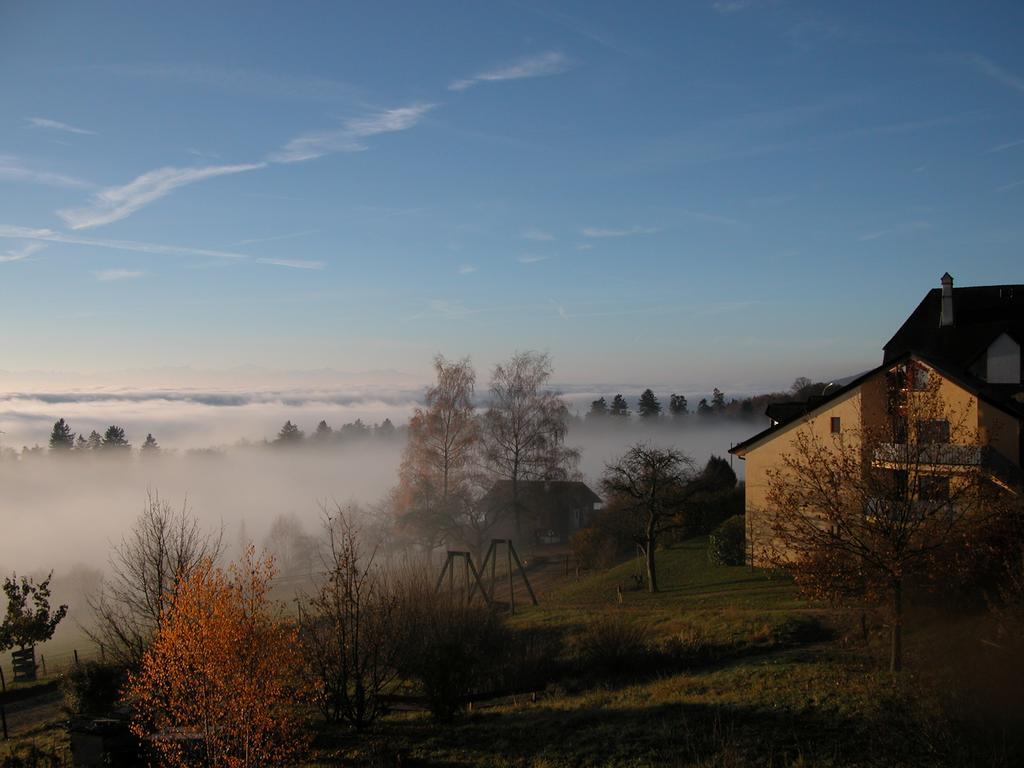 EcoHotel L’Aubier Montézillon Esterno foto