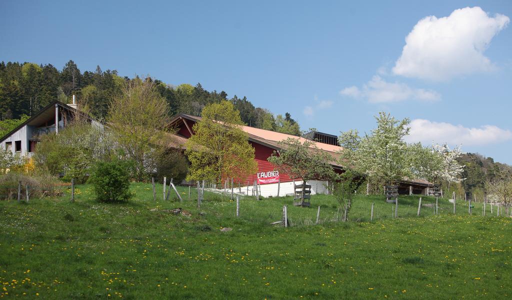 EcoHotel L’Aubier Montézillon Esterno foto